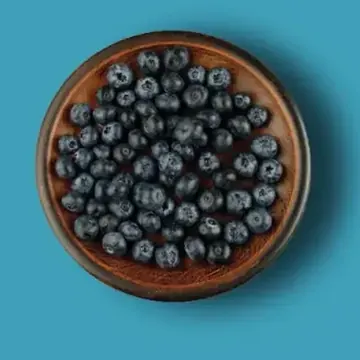 Dark blue bilberries in a wooden bowl