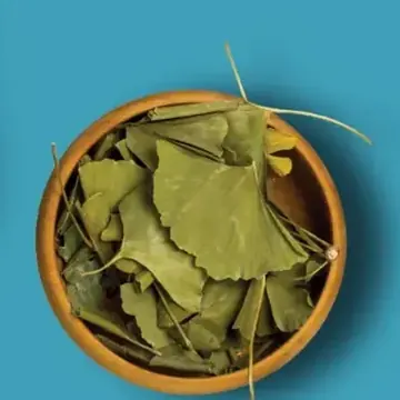 Dried ginkgo leaves in a wooden bowl