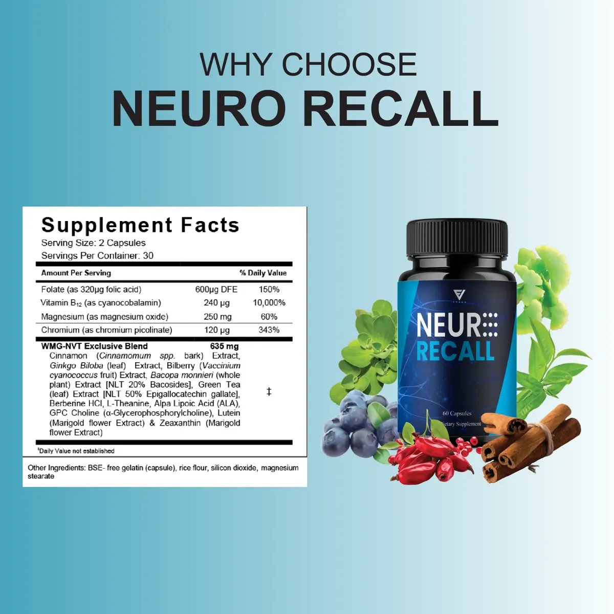 Neuro Recall Supplement Facts panel beside the bottle, ginkgo leaves, blueberries, barberries and cinnamon sticks